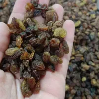 کشمش مویز آفتابی کاشمر،شیراز، تمیز بدون هسته|خوردنی و آشامیدنی|نجفآباد, حومه نجف آباد|دیوار