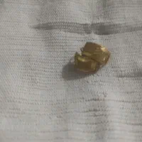 گل گوش طلا|جواهرات|شیراز, میانرود|دیوار