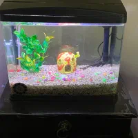 آکواریوم ماهیران طول۳۸ عرض ۲۱ ارتفاع۳۳
