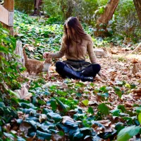 عکاسی و ساخت ریلز|خدمات پذیرایی، مراسم|مشهد, دانشجو|دیوار