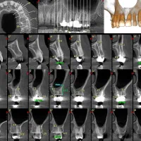 استخدام منشی