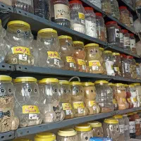 عطاری|اجارهٔ مغازه و غرفه|بروجرد, |دیوار