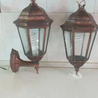 لامپ باغی