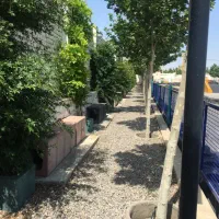 فروش،اجاره زمین ، ویرانی شاندیز