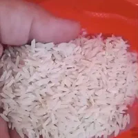 برنج هاشمی درجه یک  خالص تضمینی
