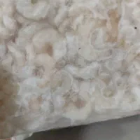 بندر ماهشهر