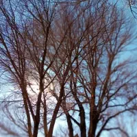 فروش-منزل-مسکونی-کلنگی