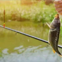همراه برای ماهیگیری کارون ۴