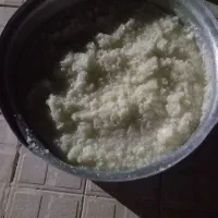 پیاز
