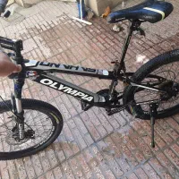 دوچرخه حرفه ای