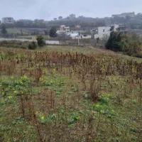 600متر-زمین-باغی-شیرکوه-رحمت-اباد