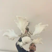 یک جفت لوستر|لوستر و چراغ آویز|شیراز, آبیاری|دیوار