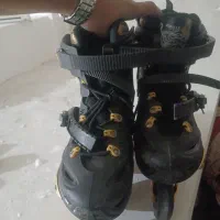 اسکیت حرفه‌ای
