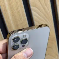 ایفون ۱۲ پرومکس|موبایل|تهران, درختی|دیوار