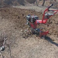 شخم باقات  حرص و خرید چوب درخت. سم پاشی