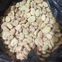 باقلا