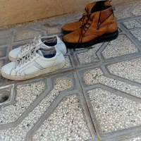 کفش|کیف، کفش، کمربند|بیرجند, |دیوار