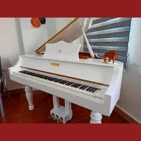 پیانو بیبگرند و مینیگرند الکترونیک|پیانو، کیبورد، آکاردئون|تهران, جمهوری|دیوار