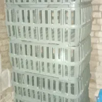 سبد حمل مرغ زنده نونو شهر فارسان