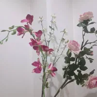 حراج انواع دکوری ظروف گلهای تزیینی گلدان ساعت|صنایع دستی و سایر لوازم تزئینی|کرج, برغان|دیوار