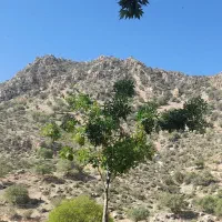 استخدام نیرو کار درکافه