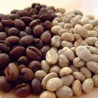 رستری و پخش قهوه