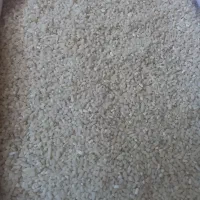 برنج نیم دانه هاشمی گیلان