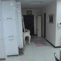 فروش آپارتمان سنددار مهرشهرفاز۳ گلستانیکم|فروش آپارتمان|کرج, گلستان|دیوار