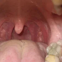 لطفا راهنمایی کنید