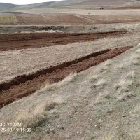 زمین دیم