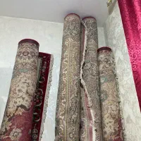 قالی قالی قالی نو نو فرش ماهریس