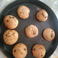 کوکی خانگی