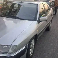 زانتیا نقره ای ۸۲