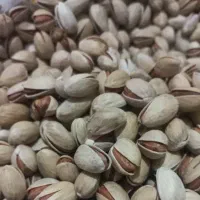 پسته فندقی|خوردنی و آشامیدنی|قم, چهل درخت‎|دیوار