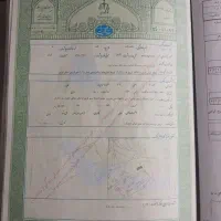 زمین ارنجک