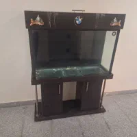 آکواریوم بزرگ|ماهی|پرند, فاز ۶|دیوار