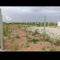 فروش-باغچه-500متری-نظراباد-کوچیک