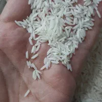 برنج محلی|خوردنی و آشامیدنی|رشت, سلیمانداراب|دیوار