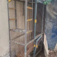 قفس کبوتر