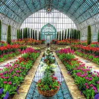 زمین ملکی هکتاری مناسب گلخانه زاک ماریان حسن آباد