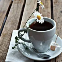 استخدام نیروی خانم درکافی شاپ(کافه)