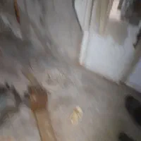 پمپ حلزونی|ماشین‌آلات صنعتی|مشهد, مهدی آباد|دیوار