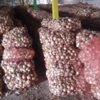 صد تن پیاز زرد شش ماهه فروشی|خوردنی و آشامیدنی|سیلاخور, |دیوار