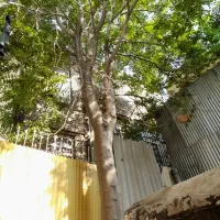 امیرکبیر غربی منزلی مسکونی ۹۵ متری در ۲ طبقه