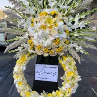 تاج گل|گل و گیاه طبیعی|تهران, هروی|دیوار