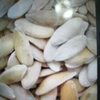 تخم خربزه بذری