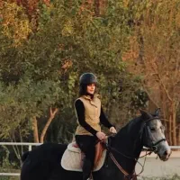 آموزش سوار کاری