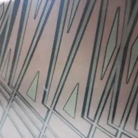 زمین-صدمتری