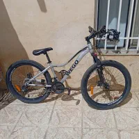 دوچرخه ویگو