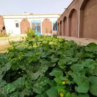 خانه باغ سنتی کاشان تهاتر